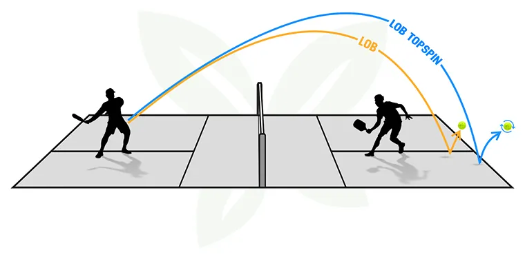 kỹ thuật Lob Topspin